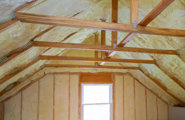 Best Eco-Friendly Insulation in Hamton, IL