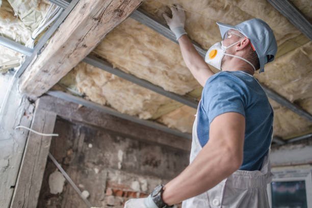 Best Commercial Insulation in Hamton, IL