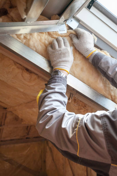 Best Insulation Maintenance and Repair in Hamton, IL